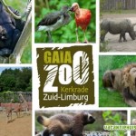 Gaia Zoo