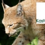 Kasteelpark Born