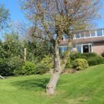 35 huis 5 (2) (Groot)