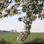 IMG_0077