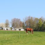 IMG_9921
